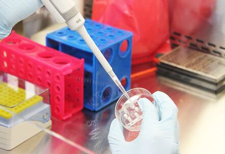 Examen des tests de la patiente avant de réaliser une mammoplastie d'augmentation.